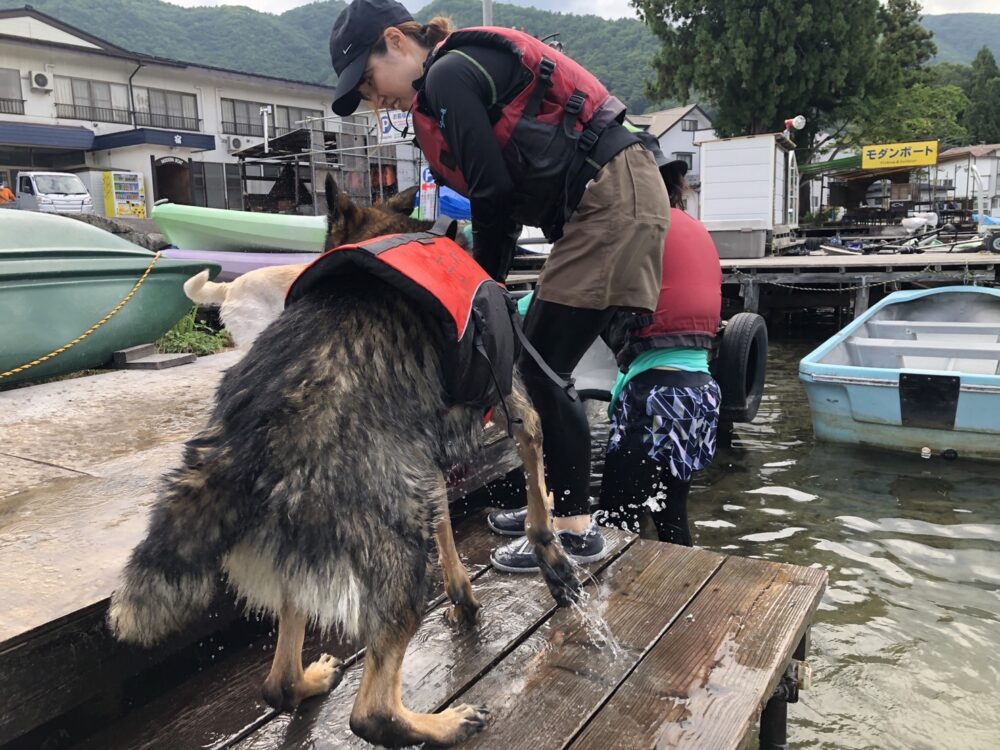 木崎湖のSUPサップを愛犬とお楽しみいただきました！