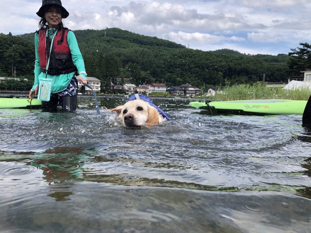 木崎湖のSUPサップを愛犬とお楽しみいただきました！