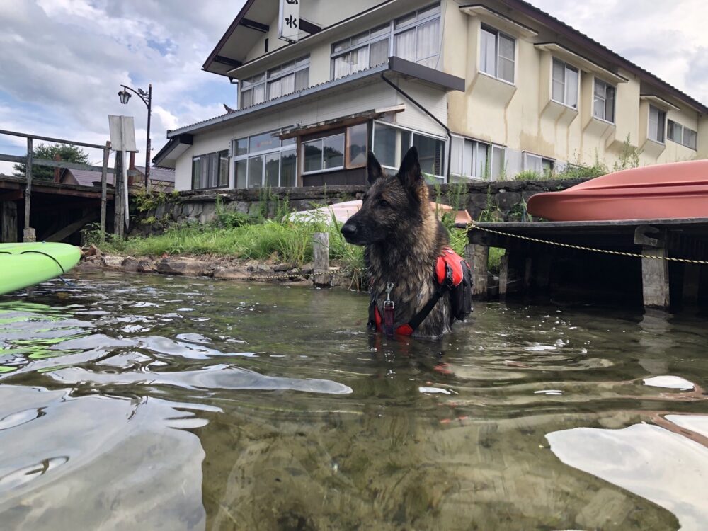 木崎湖のSUPサップを愛犬とお楽しみいただきました！