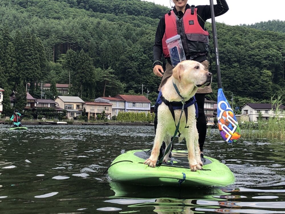 木崎湖のSUPサップを愛犬とお楽しみいただきました！