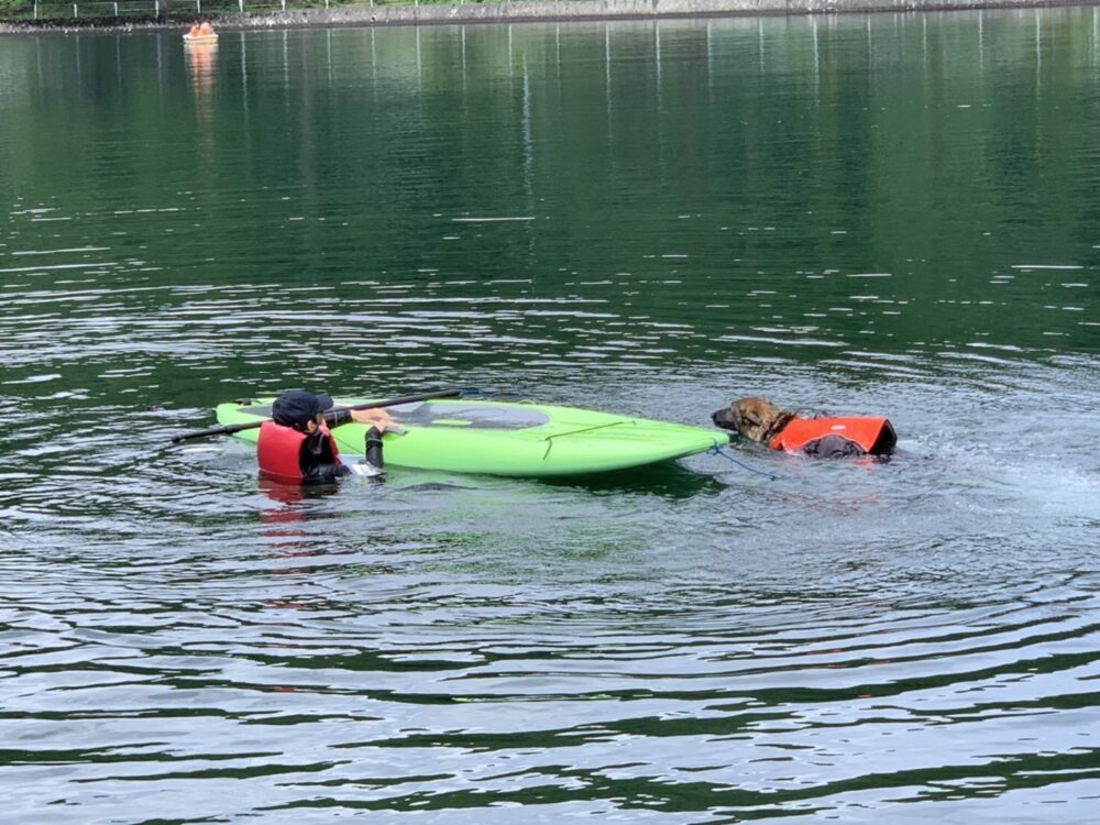 木崎湖のSUPサップを愛犬とお楽しみいただきました！