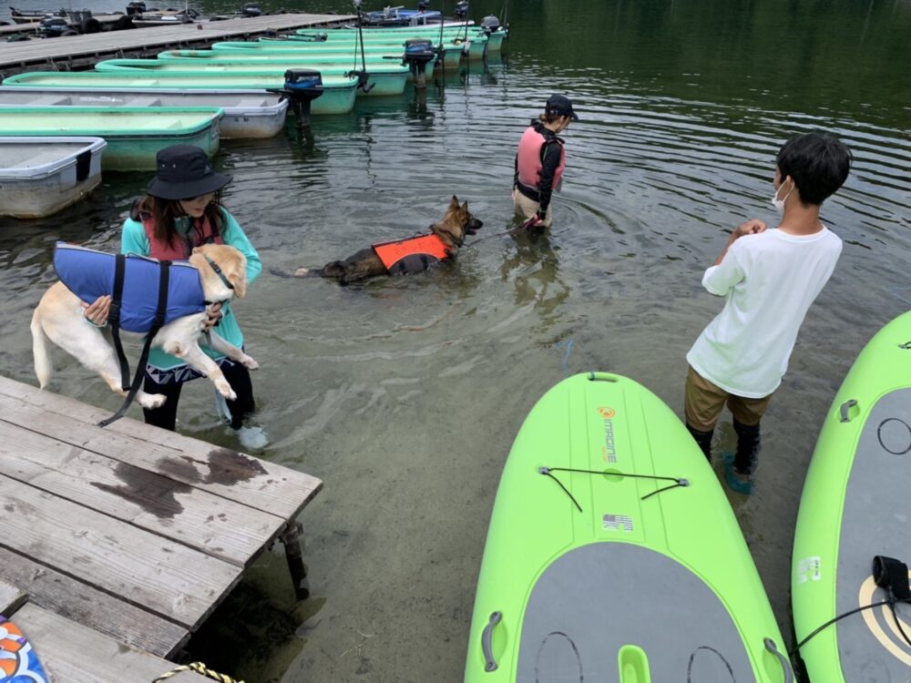 木崎湖のSUPサップを愛犬とお楽しみいただきました！