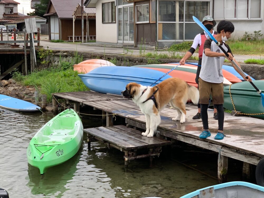 愛犬と楽しむ木崎湖カヤック本日もご利用いただきました！