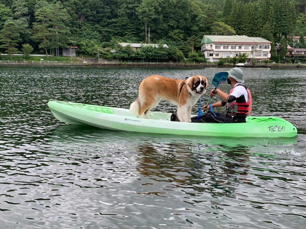 愛犬と楽しむ木崎湖カヤック本日もご利用いただきました！