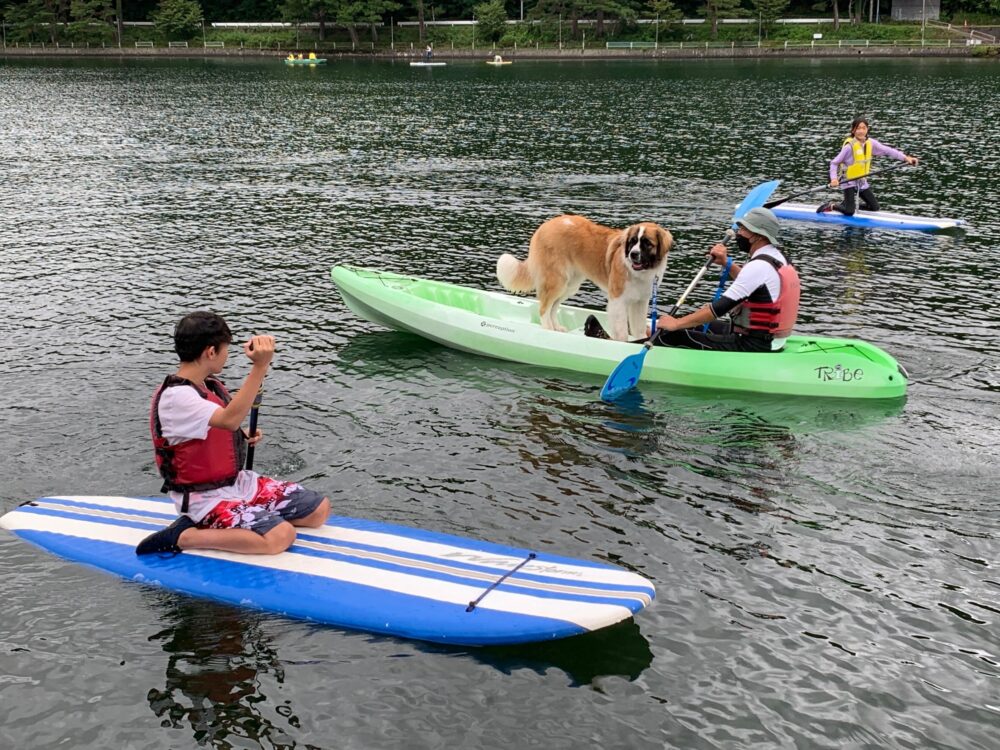 愛犬と楽しむ木崎湖カヤック本日もご利用いただきました！