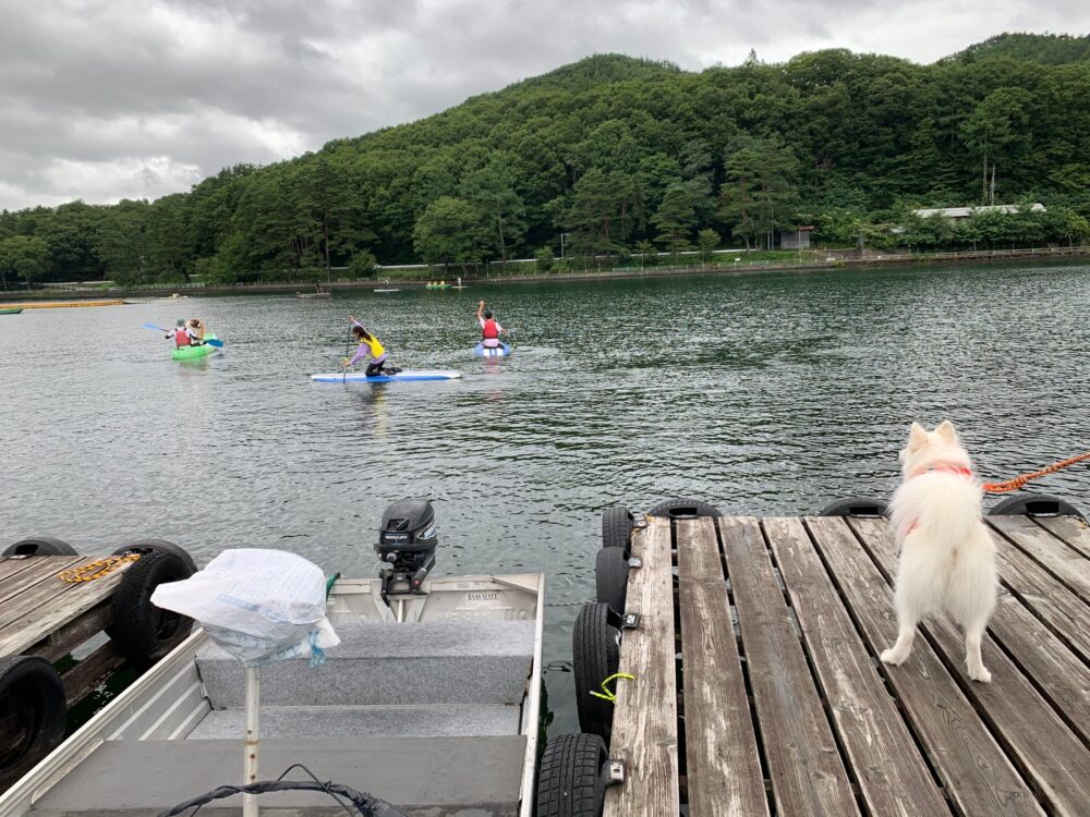 愛犬と楽しむ木崎湖カヤック本日もご利用いただきました！