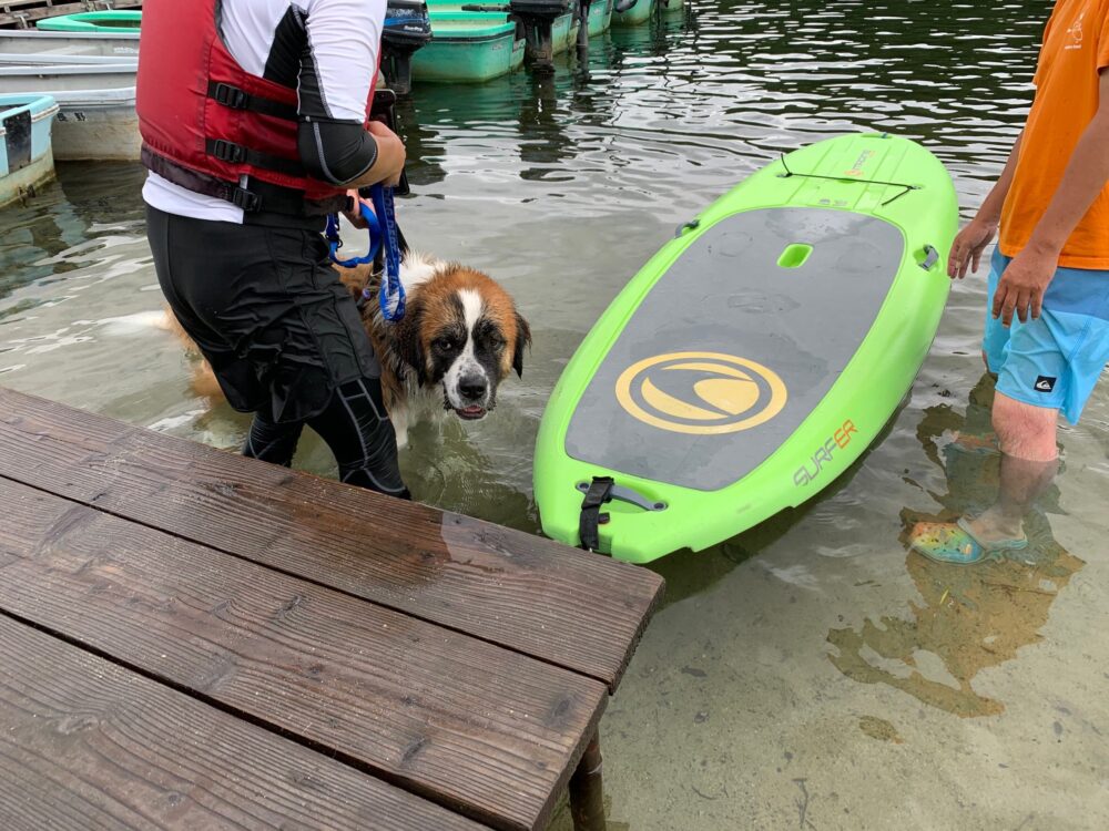 愛犬と楽しむ木崎湖カヤック本日もご利用いただきました！