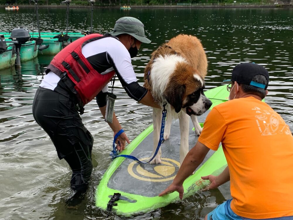 愛犬と楽しむ木崎湖カヤック本日もご利用いただきました！