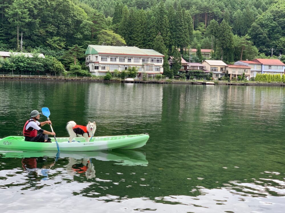 愛犬と楽しむ木崎湖カヤック本日もご利用いただきました！