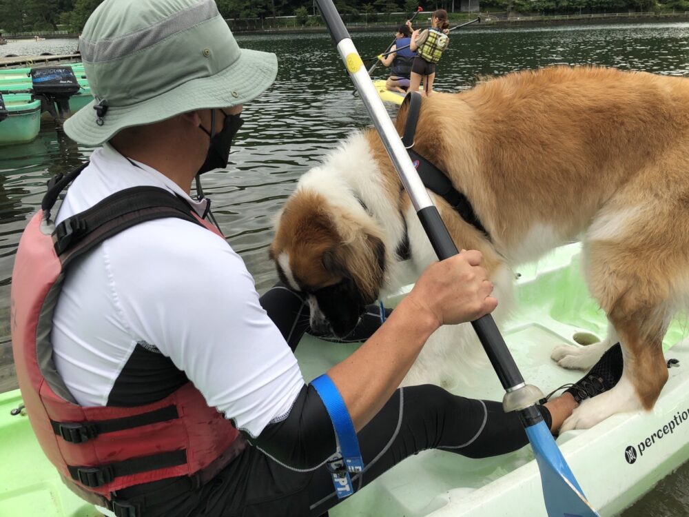 愛犬と楽しむ木崎湖カヤック本日もご利用いただきました！