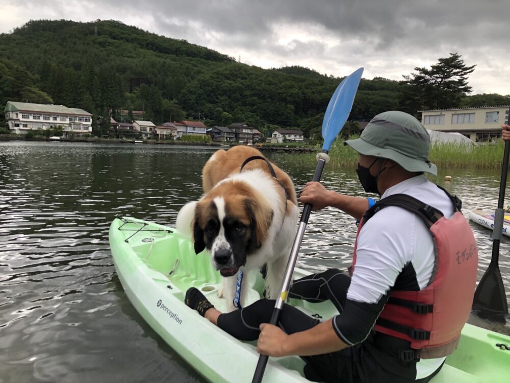 愛犬と楽しむ木崎湖カヤック本日もご利用いただきました！