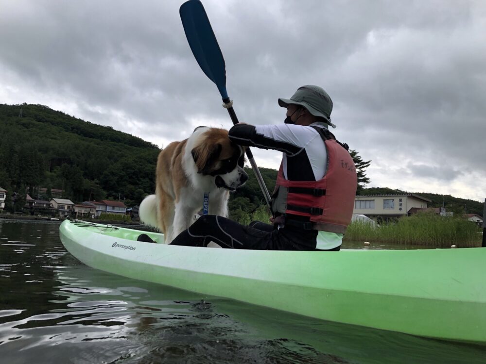 愛犬と楽しむ木崎湖カヤック本日もご利用いただきました！