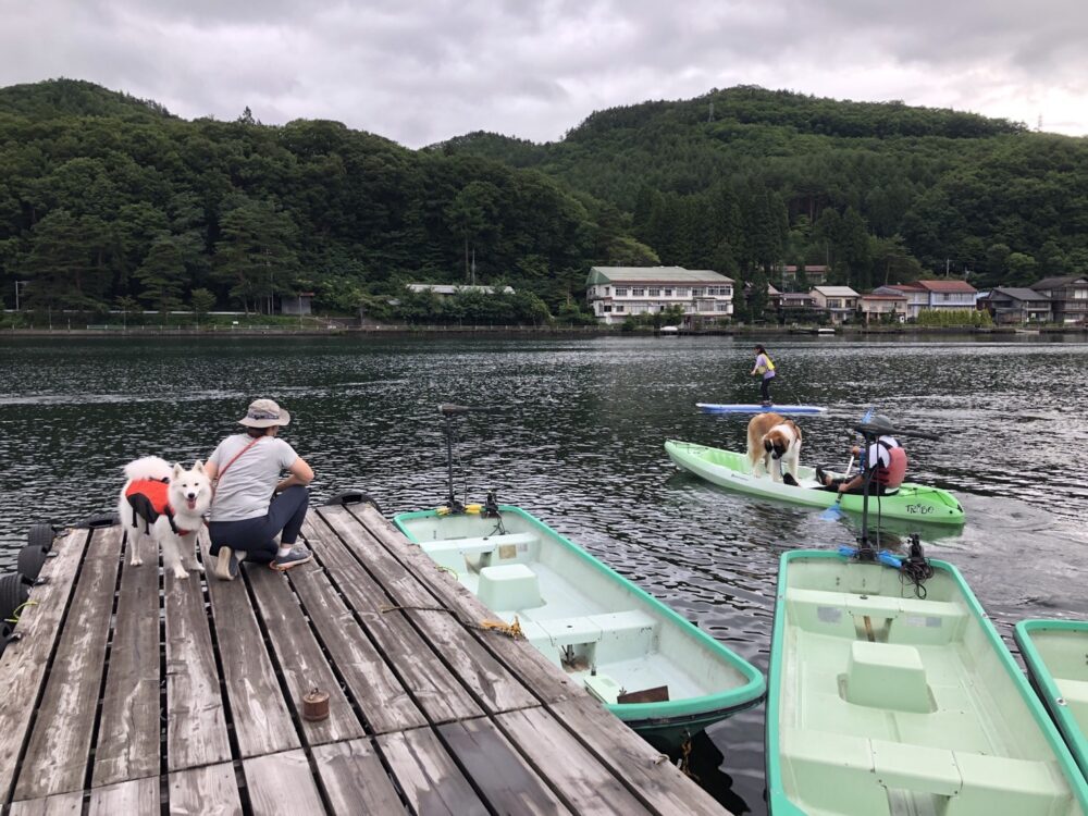 愛犬と楽しむ木崎湖カヤック本日もご利用いただきました！