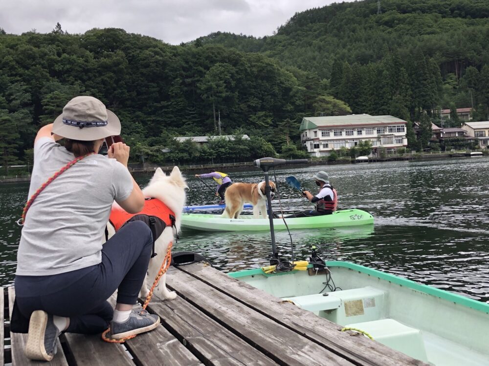 愛犬と楽しむ木崎湖カヤック本日もご利用いただきました！