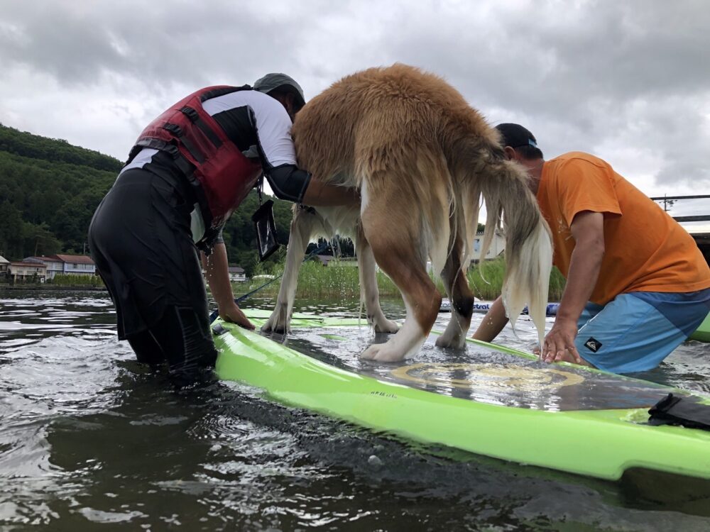 愛犬と楽しむ木崎湖カヤック本日もご利用いただきました！