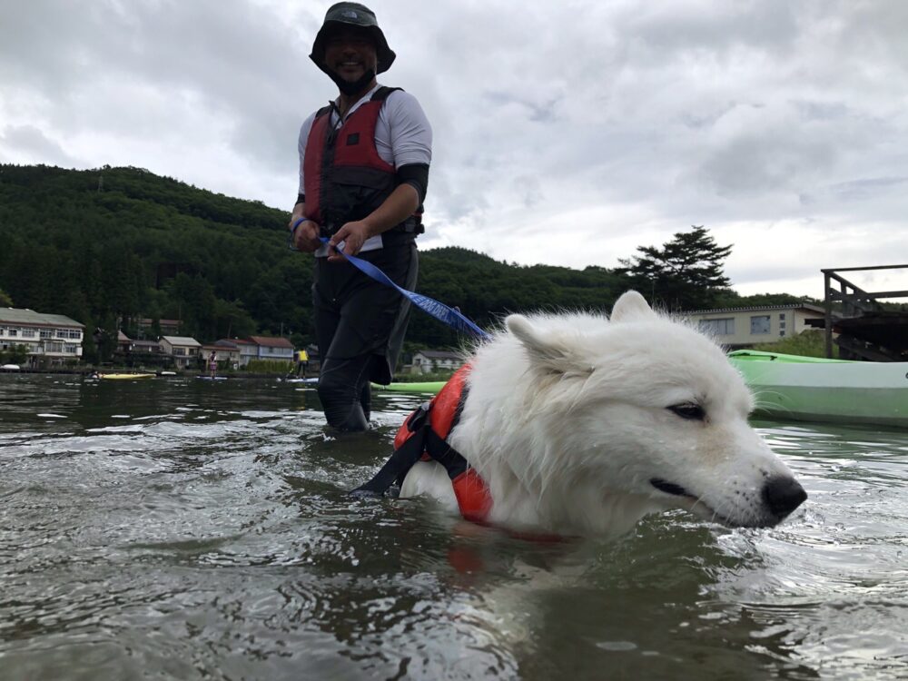 愛犬と楽しむ木崎湖カヤック本日もご利用いただきました！