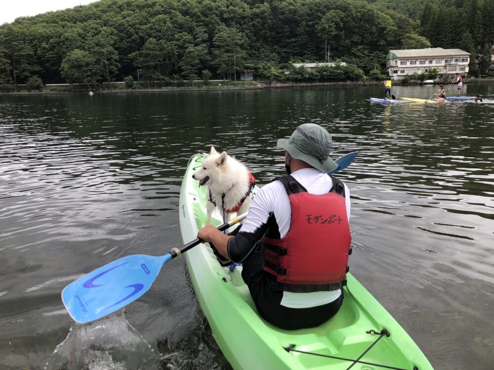 愛犬と楽しむ木崎湖カヤック本日もご利用いただきました！