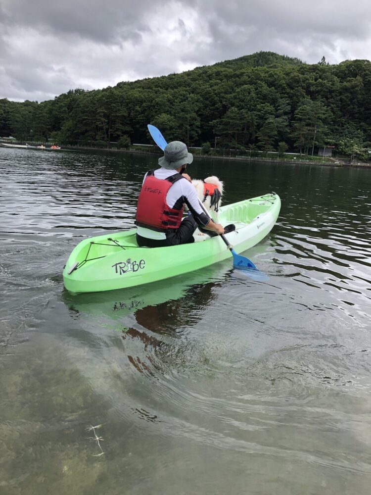 愛犬と楽しむ木崎湖カヤック本日もご利用いただきました！