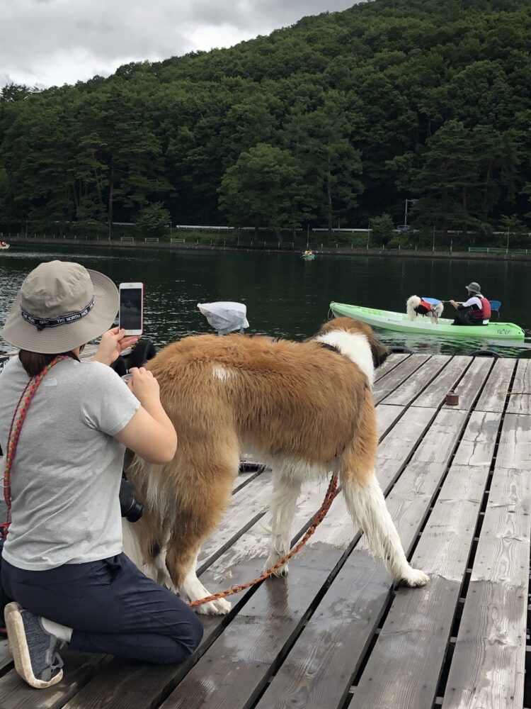 愛犬と楽しむ木崎湖カヤック本日もご利用いただきました！