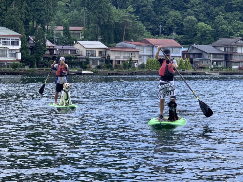 本日も木崎湖の愛犬と楽しむプラン(￼￼サップ・カヤック)をご利用いただきました！