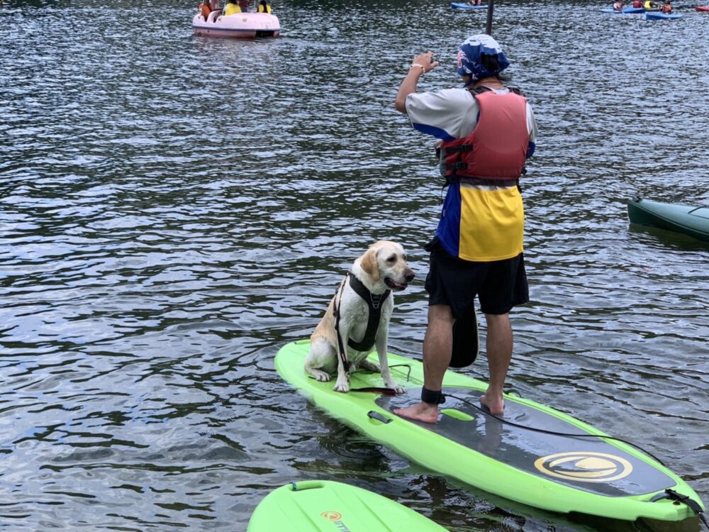 本日も木崎湖の愛犬と楽しむプラン(￼￼サップ・カヤック)をご利用いただきました！