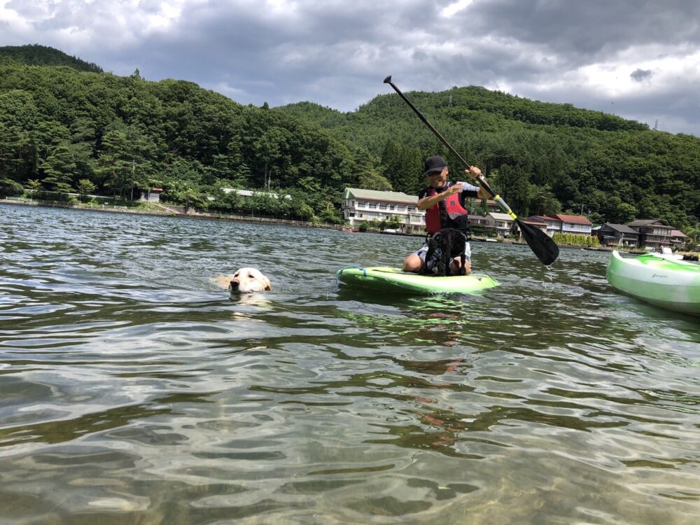 本日も木崎湖の愛犬と楽しむプラン(￼￼サップ・カヤック)をご利用いただきました！