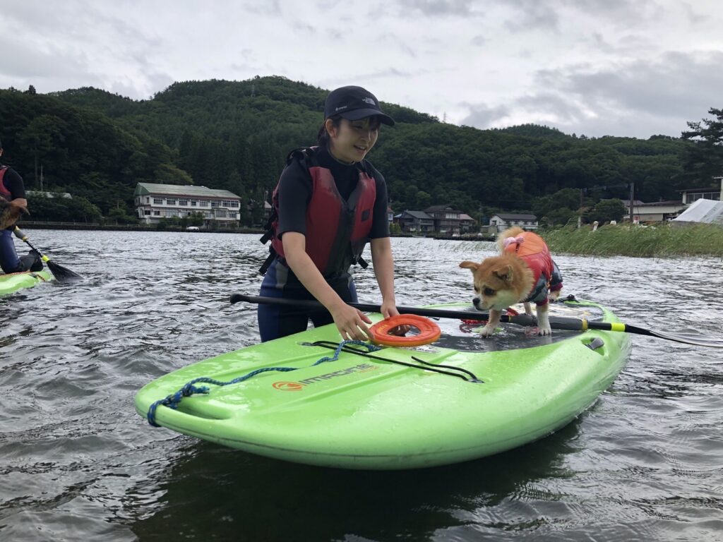 松本、白馬、安曇野、黒部エリアからアクセス良し！木崎湖のサップ愛犬と楽しむプラン今週もご利用いただきました！