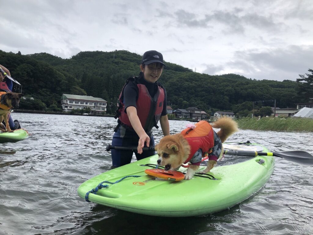 松本、白馬、安曇野、黒部エリアからアクセス良し！木崎湖のサップ愛犬と楽しむプラン今週もご利用いただきました！