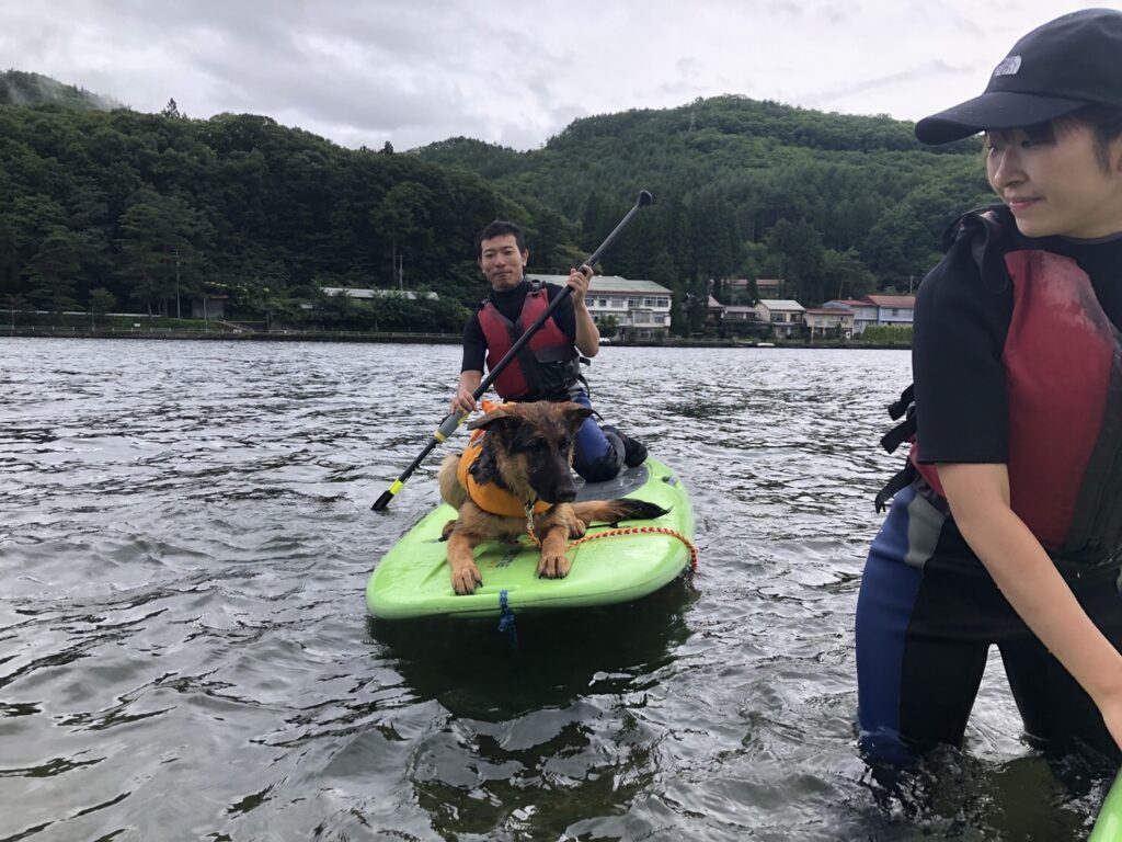 松本、白馬、安曇野、黒部エリアからアクセス良し！木崎湖のサップ愛犬と楽しむプラン今週もご利用いただきました！