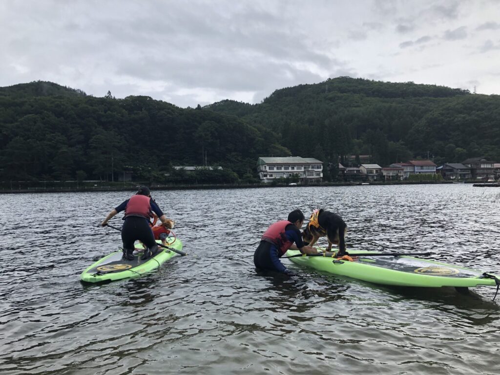 松本、白馬、安曇野、黒部エリアからアクセス良し！木崎湖のサップ愛犬と楽しむプラン今週もご利用いただきました！