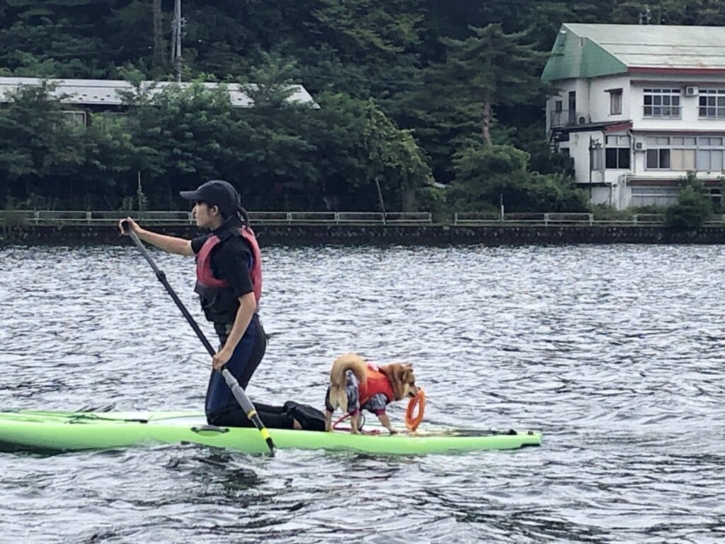 松本、白馬、安曇野、黒部エリアからアクセス良し！木崎湖のサップ愛犬と楽しむプラン今週もご利用いただきました！