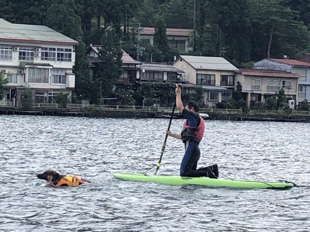 松本、白馬、安曇野、黒部エリアからアクセス良し！木崎湖のサップ愛犬と楽しむプラン今週もご利用いただきました！