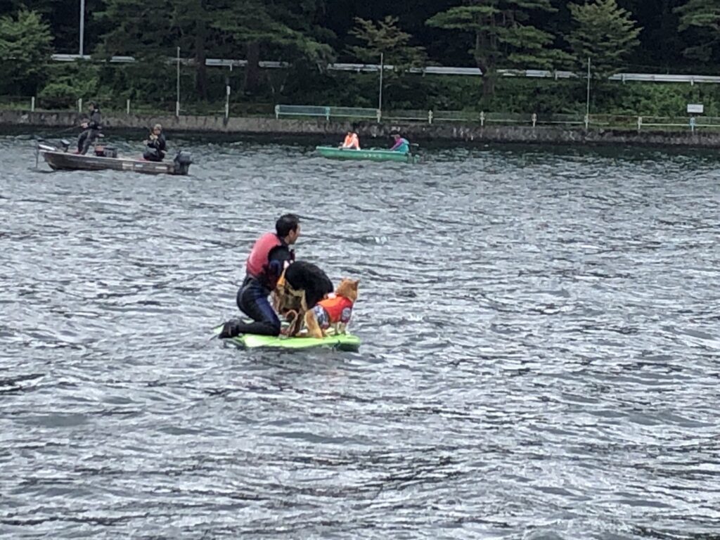 松本、白馬、安曇野、黒部エリアからアクセス良し！木崎湖のサップ愛犬と楽しむプラン今週もご利用いただきました！