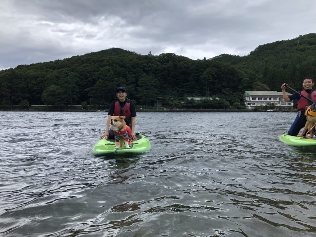 松本、白馬、安曇野、黒部エリアからアクセス良し！木崎湖のサップ愛犬と楽しむプラン今週もご利用いただきました！