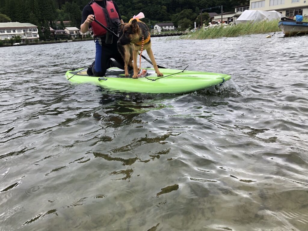 松本、白馬、安曇野、黒部エリアからアクセス良し！木崎湖のサップ愛犬と楽しむプラン今週もご利用いただきました！