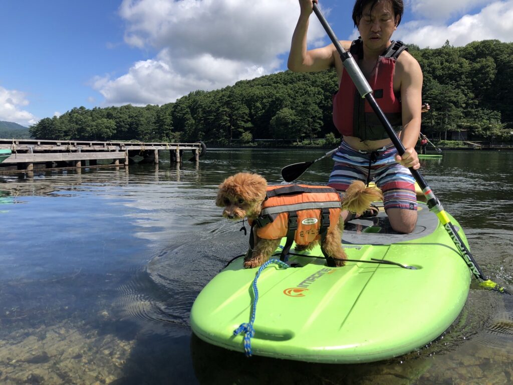 木崎湖のサップ、愛犬と楽しむプランをご利用いただきました！