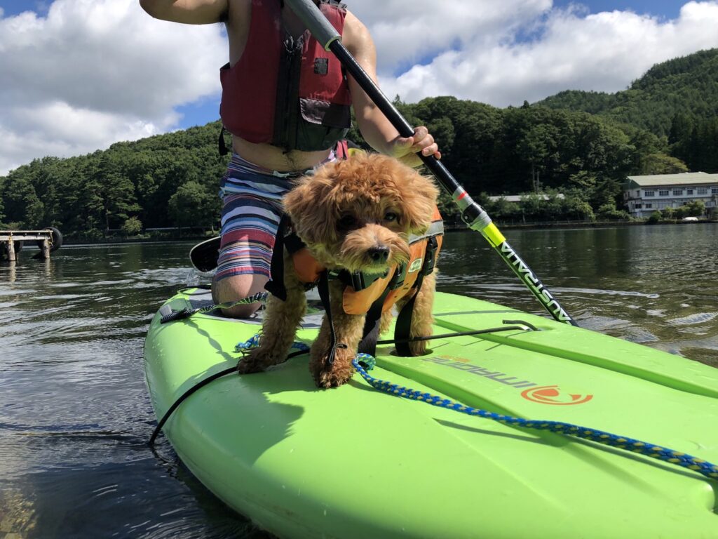 木崎湖のサップ、愛犬と楽しむプランをご利用いただきました！