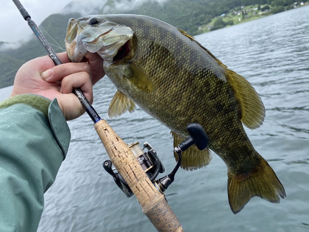 木崎湖バス釣果情報　9/7