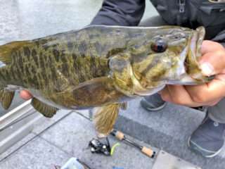 長野白馬木崎湖バス釣り