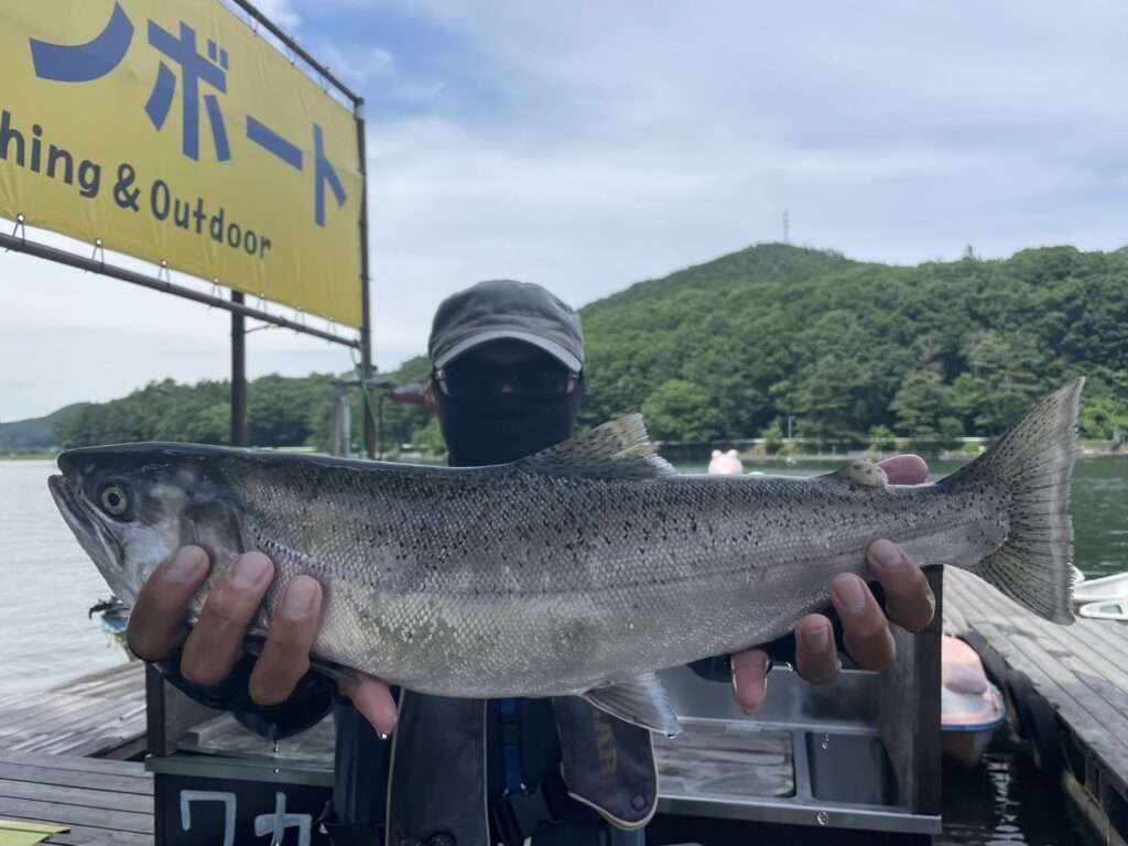 木崎湖キザキマス釣果情報　7/2