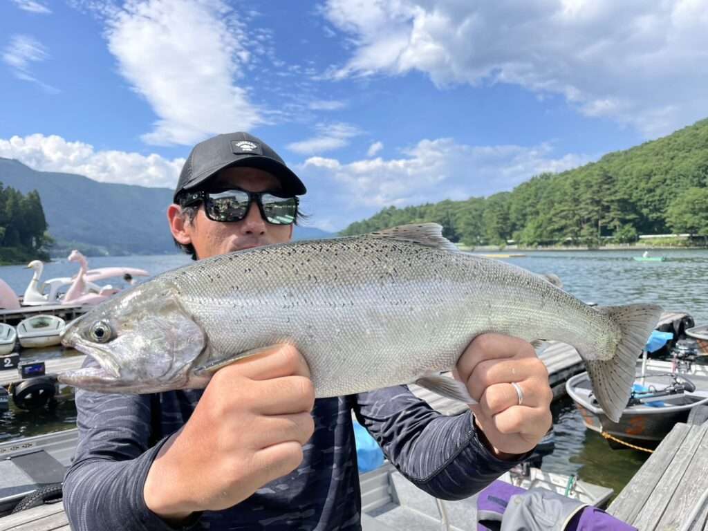 キザキマスは長野県木崎湖で釣れる幻の魚