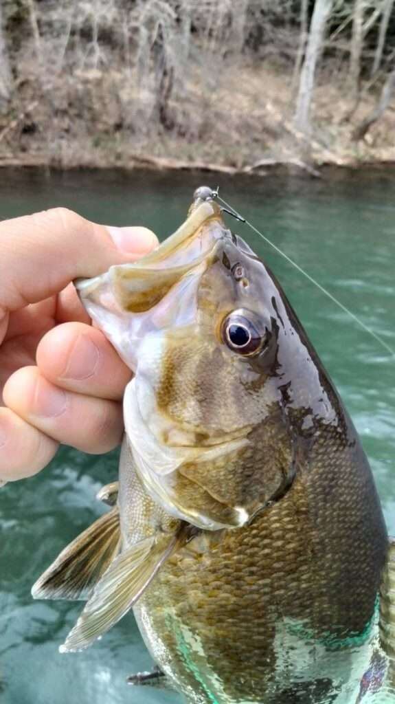 木崎湖バス釣果情報　4/13