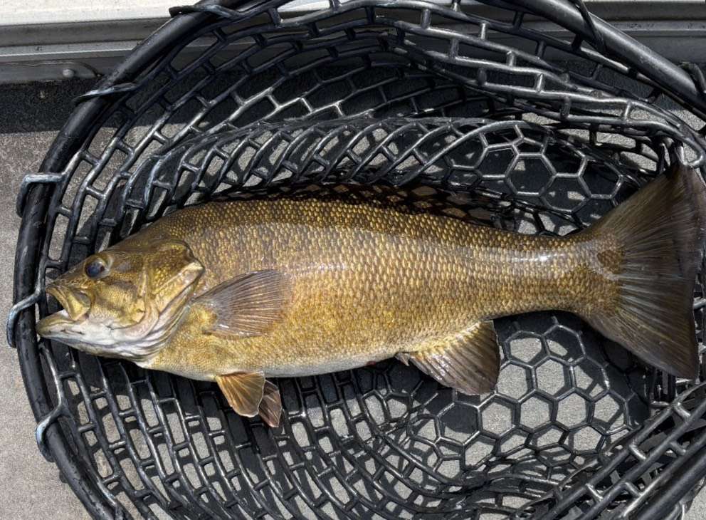 木崎湖モダンボート今シーズンの営業はじめました！！