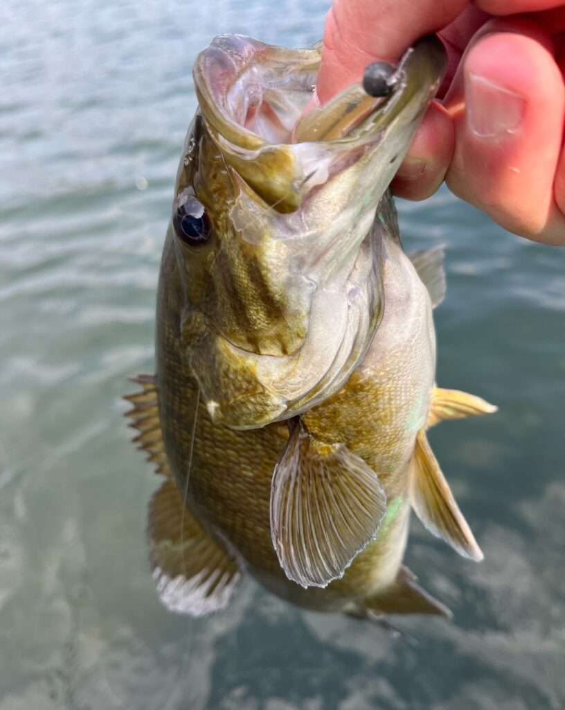 木崎湖モダンボート今シーズンの営業はじめました！！