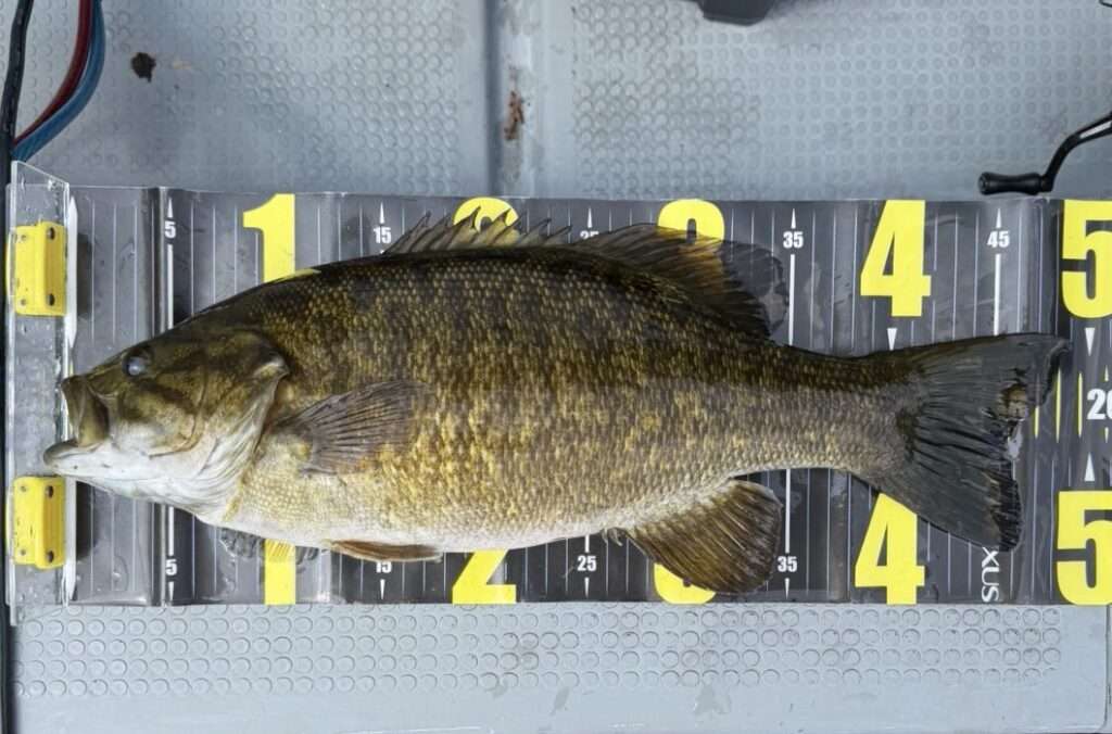 木崎湖モダンボート今シーズンの営業はじめました！！