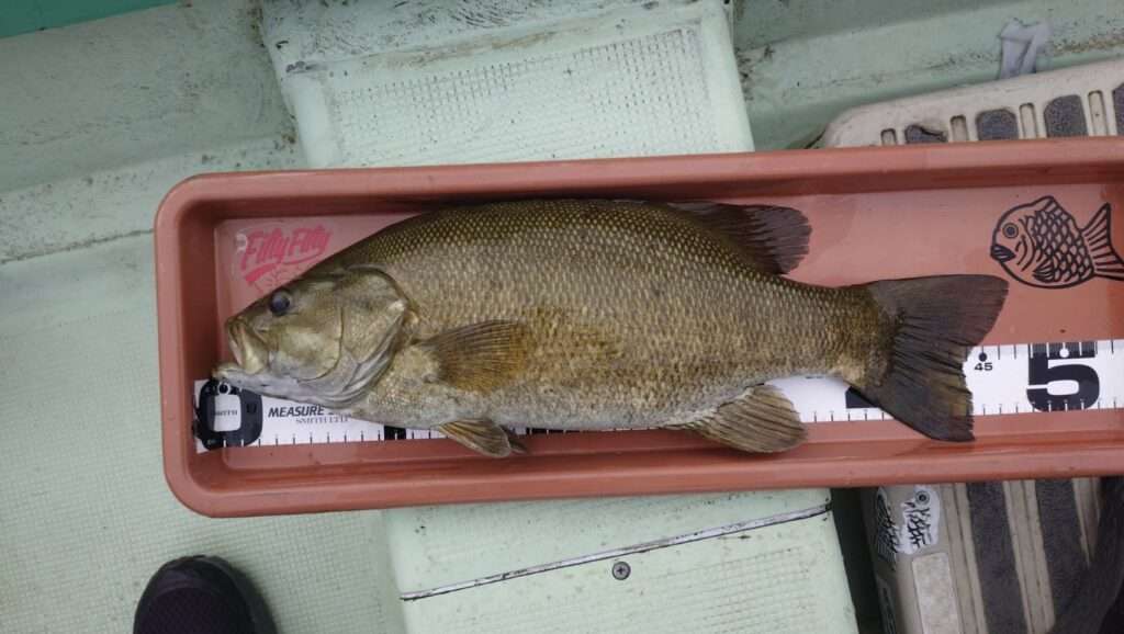 木崎湖バス釣果情報　5/22