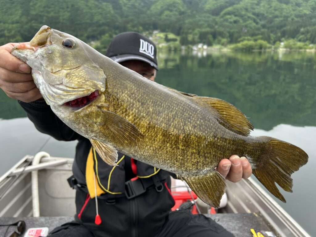 木崎湖バス釣果情報　5/25
