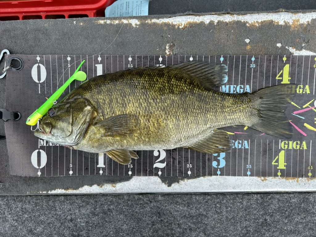 木崎湖バス釣果情報　5/25