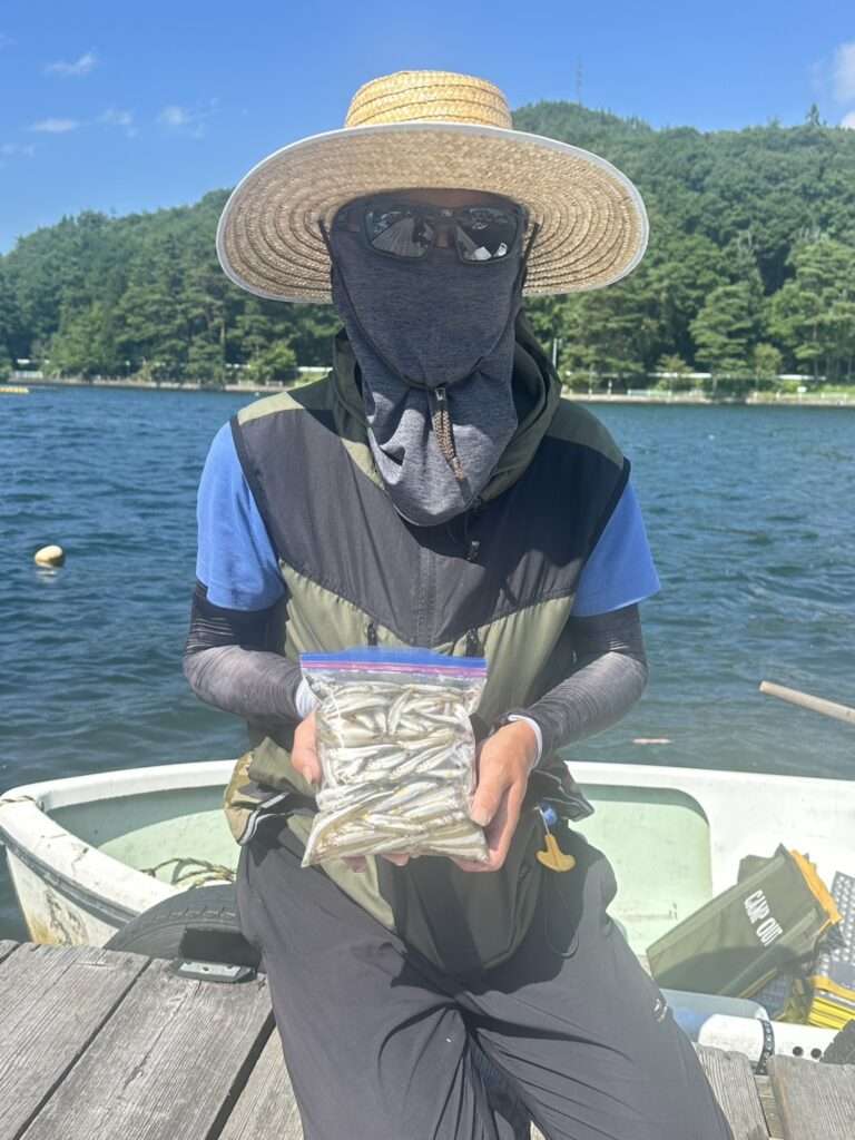 木崎湖ワカサギ釣果情報　7/29