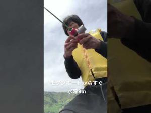 木崎湖ワカサギ調査情報　5/6